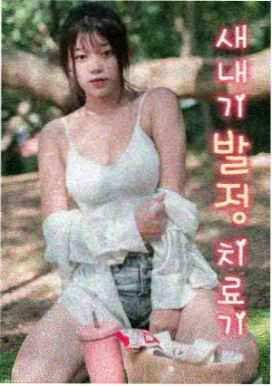 十二楼的春天 海报